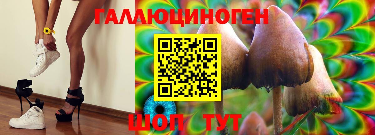Галлюциногенные грибы GOLDEN TEACHER  Вход с VPN  Галлюциногенные грибы Magic Shrooms  продажа наркотиков  Можга 